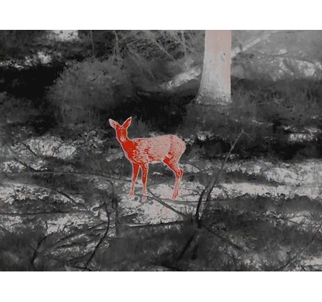 Termovízna predsádka Leica Calonox Sight 2v1 - detekcia na 2000 m, image-15