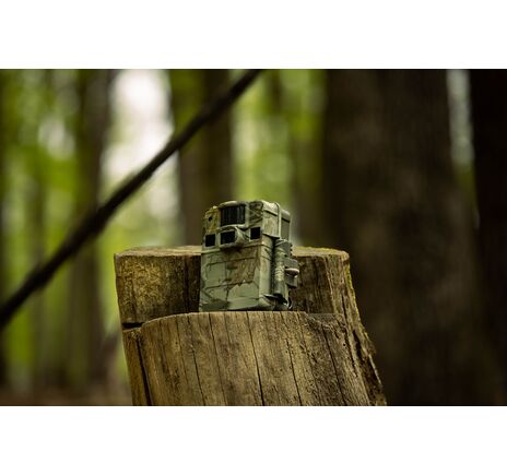 Fotopasca TETRAO S68 36 Mpx 940 nm - 2K video, image-14