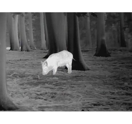 Termovízia Leica Calonox View - detekcia na 3000 m, image-5