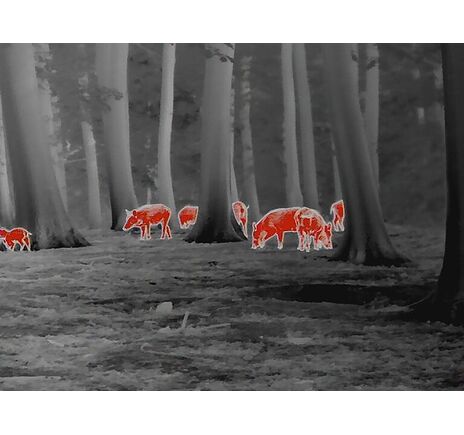 Termovízia Leica Calonox View - detekcia na 3000 m, image-10