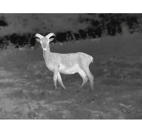 Termovízia Leica Calonox View - detekcia na 3000 m, image-11