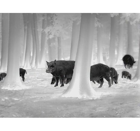 Termovízia Leica Calonox View - detekcia na 3000 m, image-12