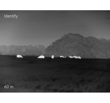 Termovízna predsádka Leica Calonox Sight 2v1 - detekcia na 2000 m, image-17