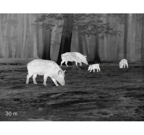 Termovízna predsádka Leica Calonox Sight 2v1 - detekcia na 2000 m, image-18