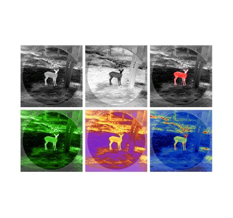 Termovízny zameriavač TETRAO OTUS 435x 50 Hz - detekcia 2400 m, image-14