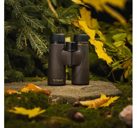 Ďalekohľad TETRAO Elanus 10x42 HD, image-7