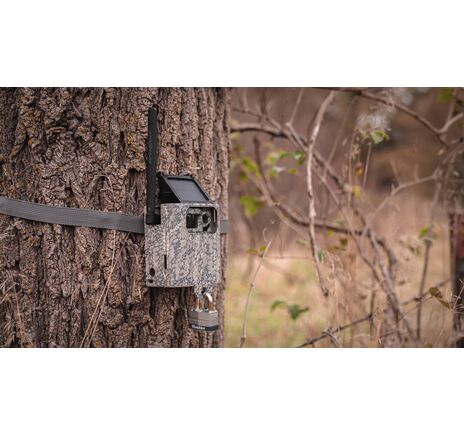 Bezpečnostný box pre fotopascu SPYPOINT LINK-MICRO S, LM2, LINK-MICRO - camo  , image-9