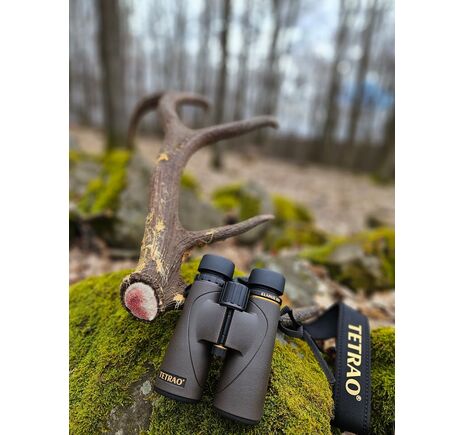 Ďalekohľad TETRAO Elanus 10x42 HD, image-9