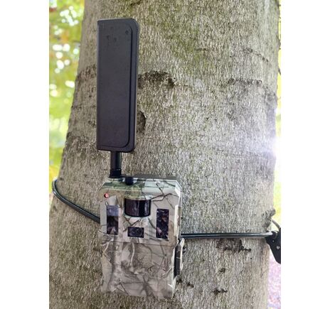 Fotopasca TETRAO S688 4G 940nm 36 Mpx s GPS lokátorom, image-7