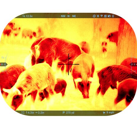 Termovízny zameriavač ATN MARS 5, 320x240px, 3-12x, image-7