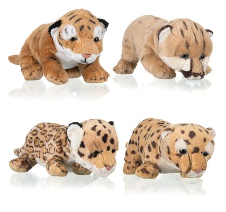 NATIONAL GEOGRAPHIC Plush Animal Babies