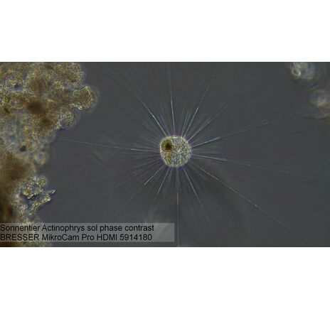 Mikroskopická kamera BRESSER MikroCam PRO HDMI, image-3