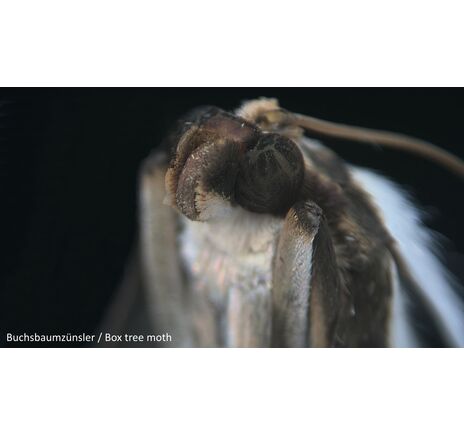 Mikroskopická kamera BRESSER MikroCam PRO HDMI, image-6