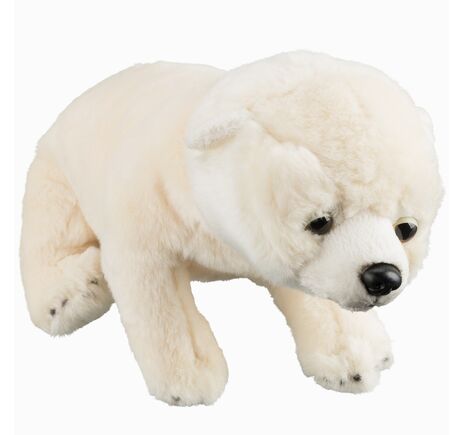 NATIONAL GEOGRAPHIC Plyšové zvieratká pre bábätká ľadový medveď, image-5