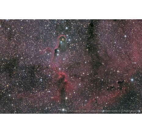 Celestron CGX 1100 RASA V2 - RASA astrográf, image-5