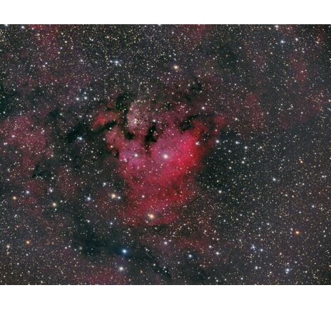 Celestron CGX 1100 RASA V2 - RASA astrográf, image-3