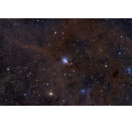 Celestron 11" RASA - RASA astrográf, image-19