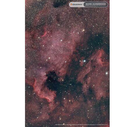 Celestron 11" RASA - RASA astrográf, image-14