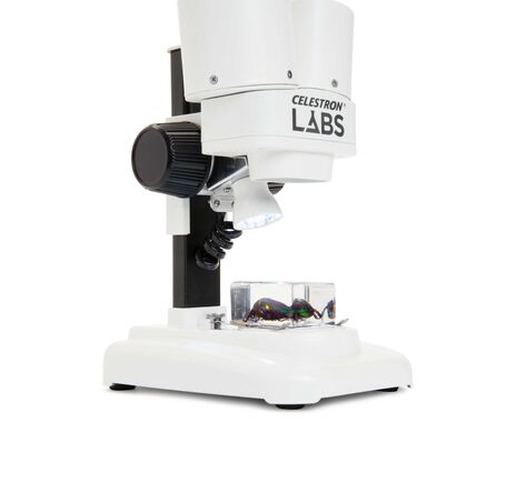 Labs S20 Stereolupe, image-9