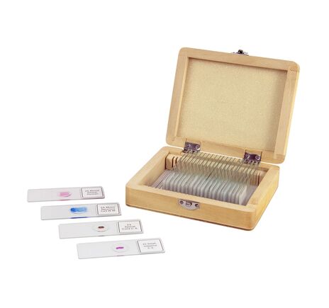 Objektträger mit 25 fertigen Präparaten für Mikroskope