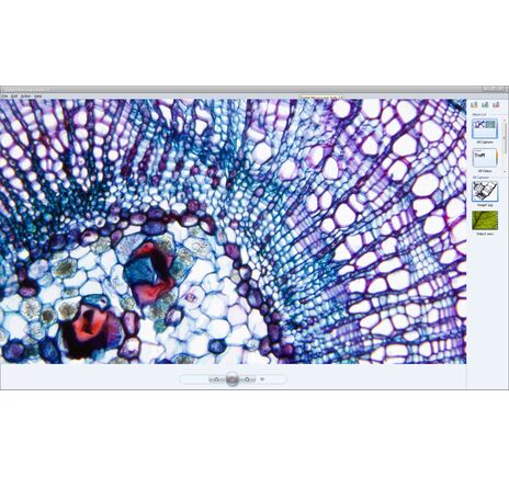 Mikroskop Kamera, image-6