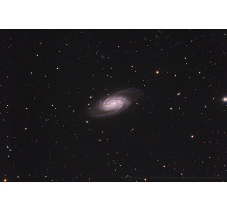 Celestron 1400 EdgeHD - Schmidt-Cassegrain, image-5