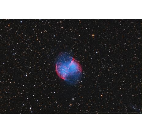 Celestron 1400 EdgeHD - Schmidt-Cassegrain, image-9