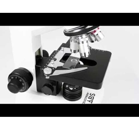 Labs S20 Stereolupe, image-12