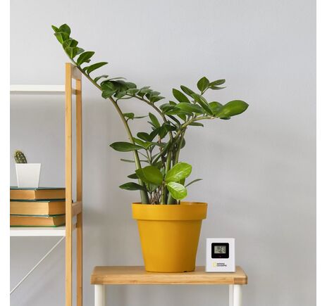 NATIONAL GEOGRAPHIC VA Farebná meteorologická stanica s LCD displejom vrátane 3 senzorov, image-5