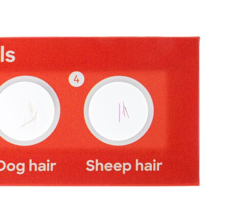 Sada 12 hotových diapozitívov Levenhuk Discovery Fauna, image-3