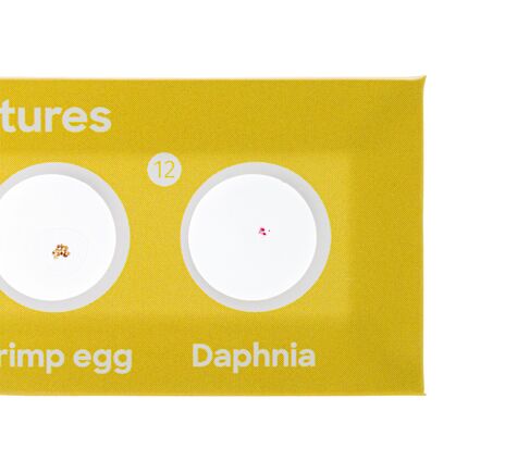 Sada mikropreparátov Discovery Flóra a fauna, 24 ks., image-6