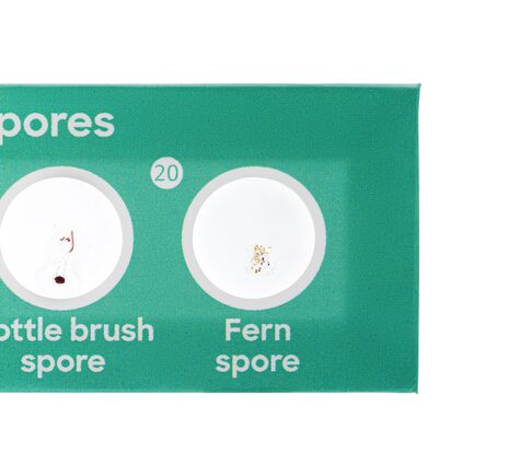 Sada mikropreparátov Discovery Flóra a fauna, 24 ks., image-7