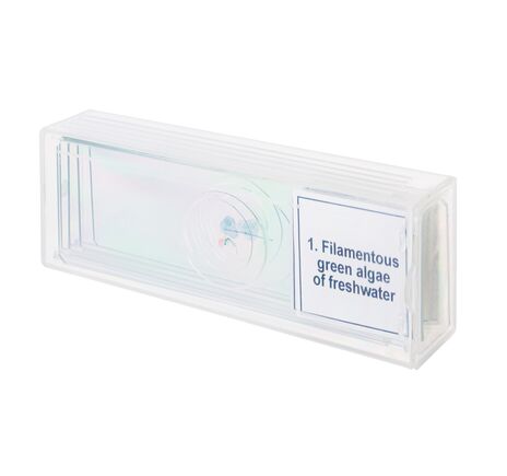 Sada mikropreparátov Discovery Prof DPS 5. Biológia, image-3