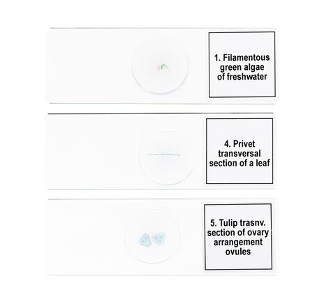 Sada mikropreparátov Discovery Prof DPS 5. Biológia, image-5