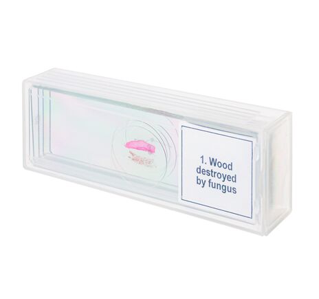 Sada mikropreparátov Discovery Prof DPS 5. Mutácie, image-3