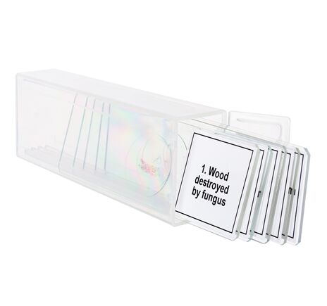 Sada mikropreparátov Discovery Prof DPS 5. Mutácie, image-4