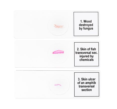 Sada mikropreparátov Discovery Prof DPS 5. Mutácie, image-5