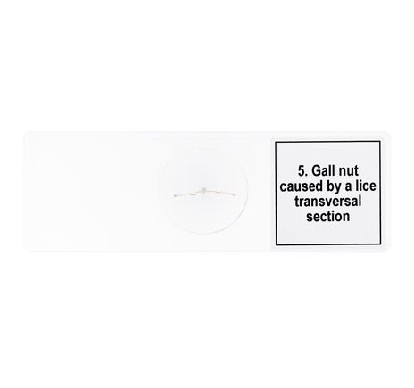 Sada mikropreparátov Discovery Prof DPS 5. Mutácie, image-7