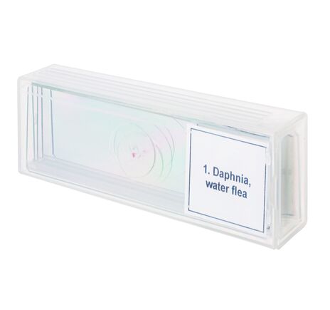 Sada mikropreparátov Discovery Prof DPS 5. Život v kvapke vody, image-3