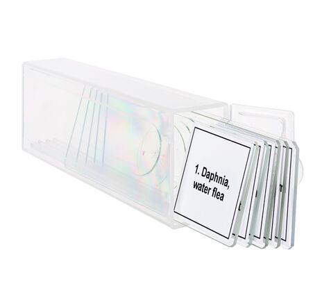 Sada mikropreparátov Discovery Prof DPS 5. Život v kvapke vody, image-4