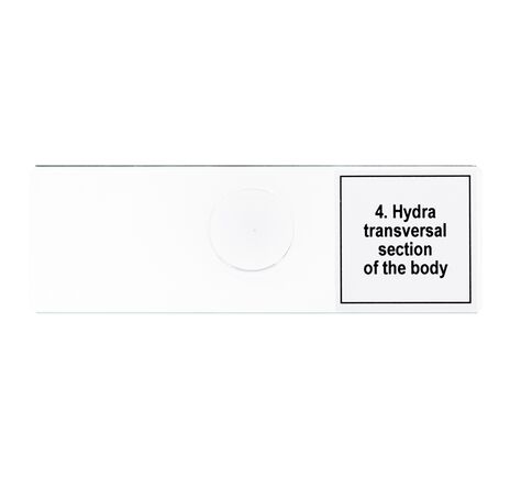 Sada mikropreparátov Discovery Prof DPS 5. Život v kvapke vody, image-7