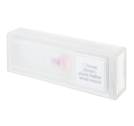 Sada mikropreparátov Discovery Prof DPS 5. Vtáky, image-3