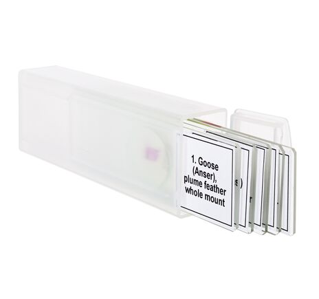 Sada mikropreparátov Discovery Prof DPS 5. Vtáky, image-4