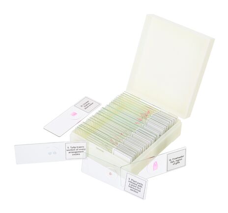 Discovery Prof Specimens DPS 25. “Biology, Birds, etc.”, image-4