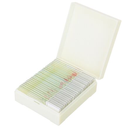 Discovery Prof Specimens DPS 25. “Biology, Birds, etc.”, image-6