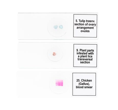 Discovery Prof Specimens DPS 25. “Biology, Birds, etc.”, image-7