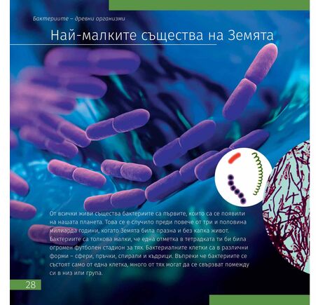 Vesmír. Mikrosvet. Vzdelávacia publikácia, 2 zväzky, image-4