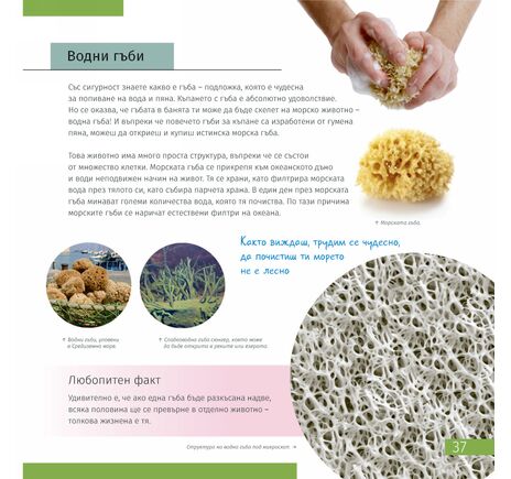 Vesmír. Mikrosvet. Vzdelávacia publikácia, 2 zväzky, image-6