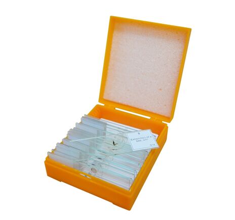 Levenhuk N10 NG Prepared Slides Set, image-2