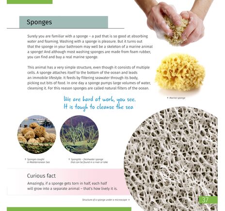 Vesmír. Mikrosvet (dvojzväzkové vydanie). Pevná väzba, image-10